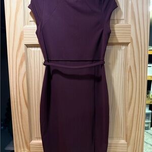 Express Deep Purple Midi Dress